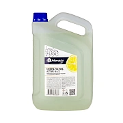 Дезинфицирующий концентрат Merida Chlore-active 4 в 1, на основе хлора, MCA5