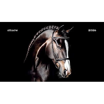 Календарь настенный 3-х блочный 2026 Attache,Супер-Прем+блок,Лошадь,440х835