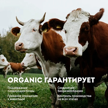 Молоко Эконива ультрапастеризованное 3.2%, 1л