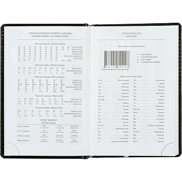 Ежедневник недатированный черн, А6, 100x150, 320стр, Agenda