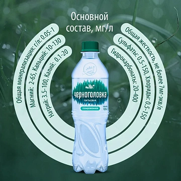 Вода Черноголовка питьевая газированная, 500мл x 12 шт