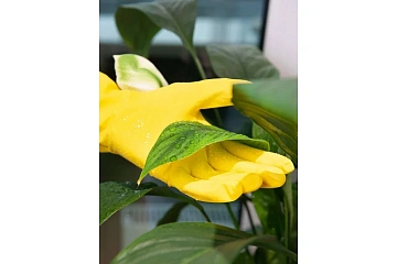 Перчатки хозяйственные Home Queen латекс размер L