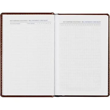 Ежедневник недатированный коричневый,А6,100x150, 320стр,Agenda
