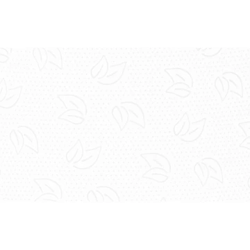 Туалетная бумага Protissue C191, в рулоне, 170м, 2 слоя, белая