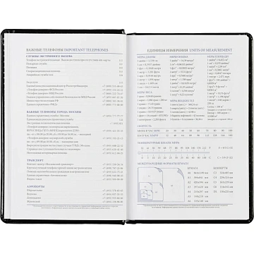 Ежедневник недатированный черн, А6, 100x150, 320стр, Agenda