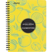 Бизнес-тетрадь  ароматизир.100л,кл,А5, КЛЕМЕНТИН,спир,тонир.блок 84906
