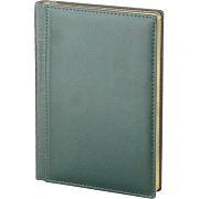 Ежедневник недатированный A5 IMAGE (ЗЕЛЕНЫЙ) 3-346/03