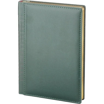 Ежедневник недатированный A5 IMAGE (ЗЕЛЕНЫЙ) 3-346/03