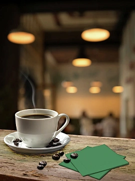 METRO PROFESSIONAL Салфетки бумажные двуслойные зеленые 250шт, 24x24см