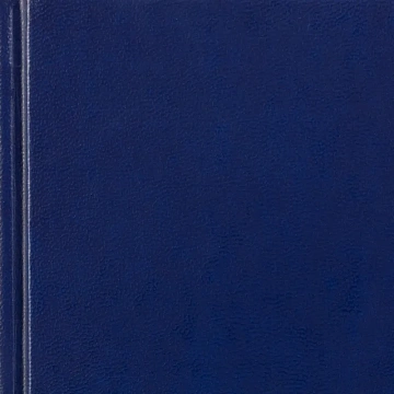 Ежедневник датированный 2026 А5+ IDEAL NEW синий 3-344/05