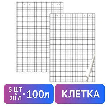 Блокноты для флипчарта ПЛОТНЫЕ 80 г/м2, BRAUBERG, 67,5х98 см, КОМПЛЕКТ 5 шт., 20 л., клетка, 124097