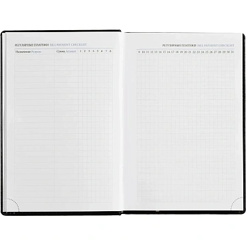 Ежедневник недатированный черный, А5,148x218, 352стр, Agenda