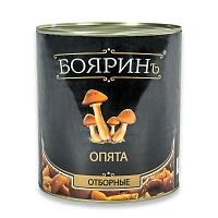 Бояринъ