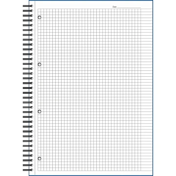 Бизнес-тетрадь 100л,кл,А4,LightBook,спираль,обл.корич,блок белый 70г/м