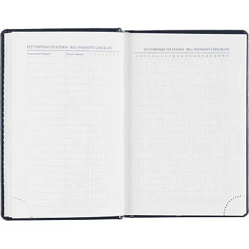 Ежедневник датированный 2026, синий,А6, 100х150 мм,336 стр,Agenda