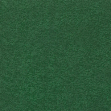 Ежедневник датированный 2026, зеленый,А5, 148х218 мм,352 стр,АТТАСНЕ Вива