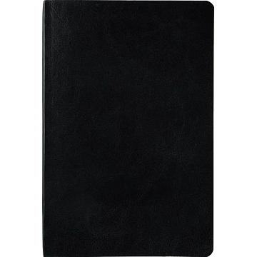 Ежедневник недатированный А5 MEGAPOLIS NEBRASKA FLEX черн/зол.обр 3-692/02