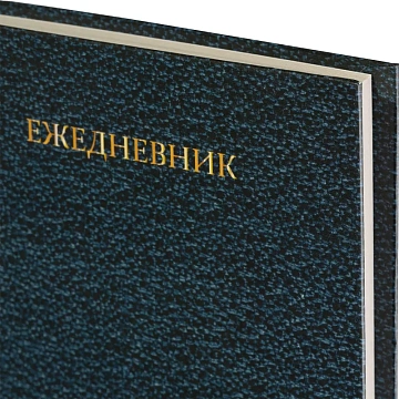 Ежедневник недатированный 7БЦ,пленка глянц,А5,128л Attache Economy,Кожа