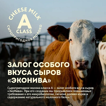 Сыр Эконива Durr Zeller твердый 55%, ~850г