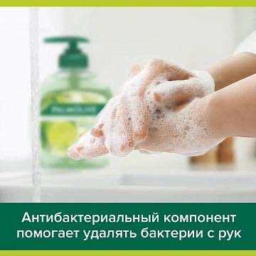 Мыло жидкое с антибактериальным эффектом 300 мл PALMOLIVE 'Нейтрализатор запаха', дозатор, 8714789338422