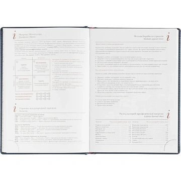 Ежедневник недатированный А5 LEADER (СИНИЙ) 3-129/01