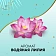 Прокладки ежедневные Discreet Water Lily, 20шт