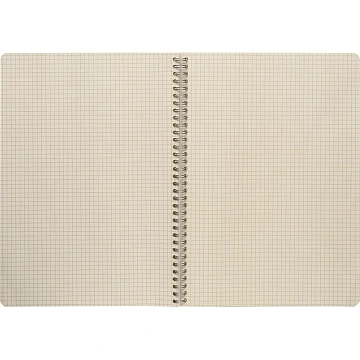 Бизнес-тетрадь ,80,А4,Амели,300х210мм,Желтый,80г/квм,тонир