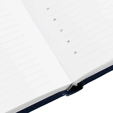 Ежедневник недатированный синий, А5, 148x218, 352стр, Agenda