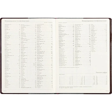 Еженедельник недатированный коричнев,A4,222х302мм,64л,Br.V.PROFY 3-098/03