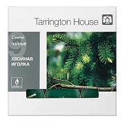Tarrington House Свеча Чайная ароматическая Хвойная иголка, 9шт