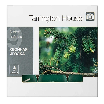 Tarrington House Свеча Чайная ароматическая Хвойная иголка, 9шт